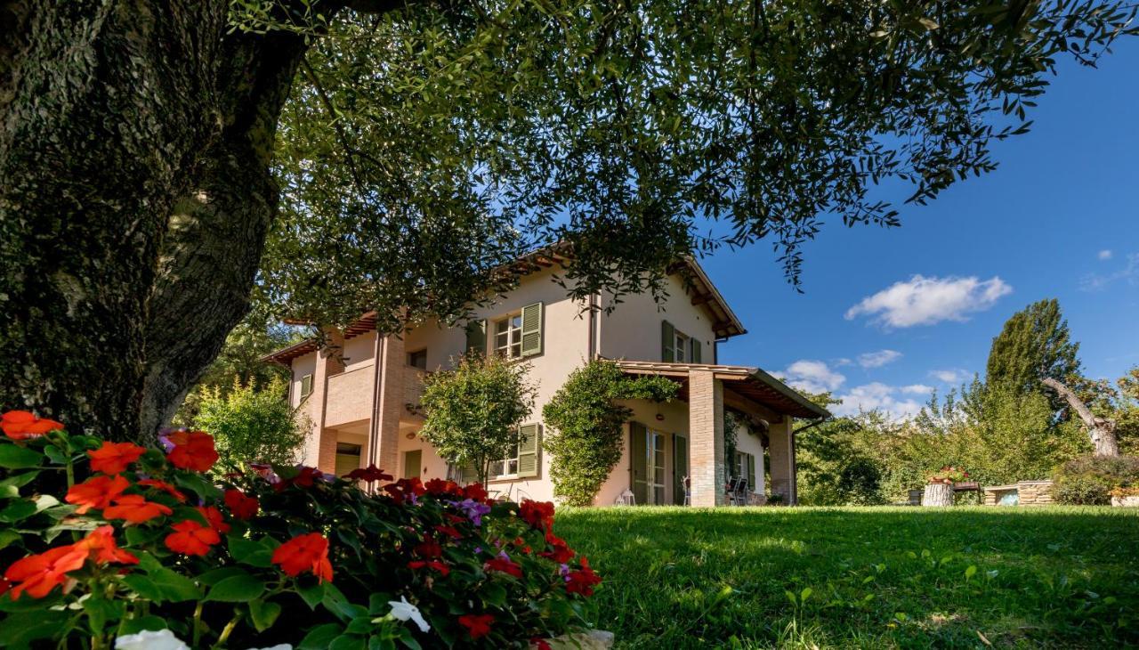 Altra Meta B&B Gubbio Zewnętrze zdjęcie