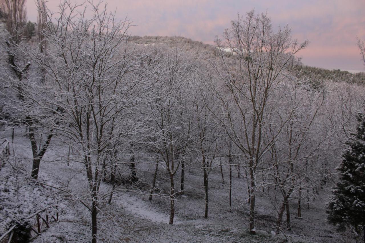 Altra Meta B&B Gubbio Zewnętrze zdjęcie